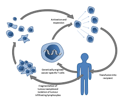 stemcell